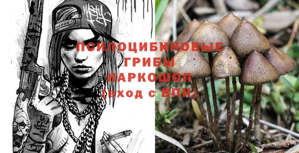 скорость Болотное