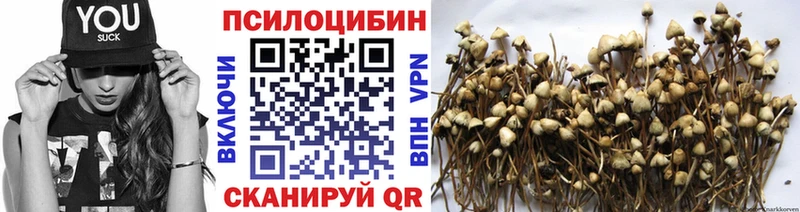 Галлюциногенные грибы прущие грибы Великие Луки