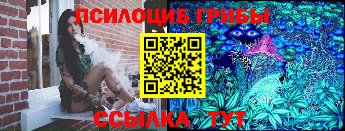 Великие Луки  Галлюциногенные грибы Cubensis  Вход с VPN 